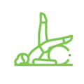 Pilates (2)